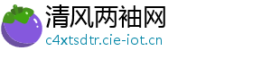 清风两袖网